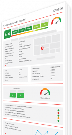 report Creditsafe